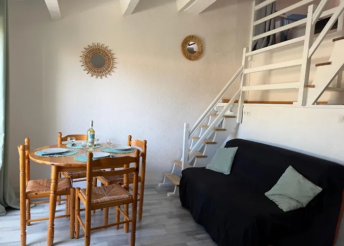 Location Cap Pinede Appartement Agde